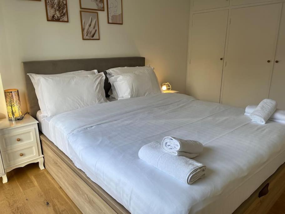 Superbe Appartement Avec Belle Vue Jardin パリ エクステリア 写真